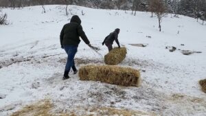 Çorum Belediyesi soğuk kış günlerinde doğadaki canlıları unutmadı.