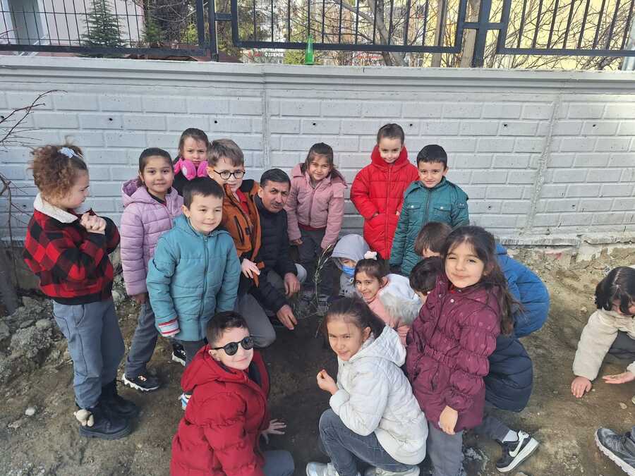 Öğrenciler okul bahçesine zeytin fidanı dikti Çorum’un Osmancık ilçesinde ilkokul öğrencileri, hem yeni okul binalarını tanıdı,