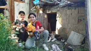 Çorum’un Osmancık ilçesinde, 2 kardeş 13 yavrusu bulunan sokak köpeğine