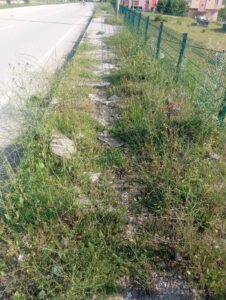 Çorum’un Osmancık ilçesinde kaldırımlar otlarla kaplandı, temizlik bekleniyor.