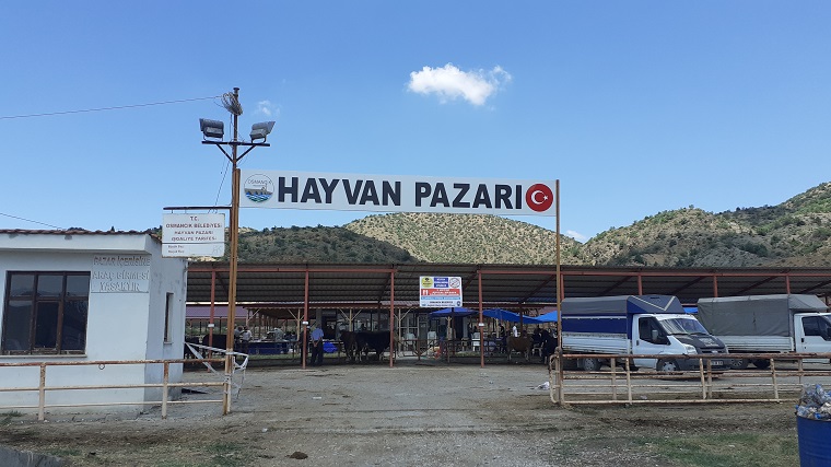 Hayvan pazarları kapatıldı Çorum’daki tüm hayvan pazarları şap hastalığı riski sebebiyle kapatıldı.