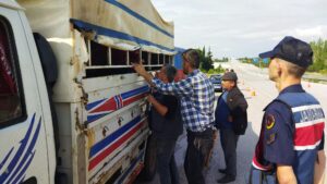 Hayvan sevk ve nakil kurallarına uymayan kişiler hakkında idari işlem