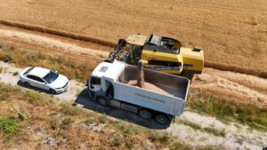 80 Dönümlük Buğday Tarlasında Hasat Başladı