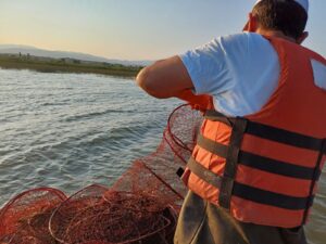 İhbar üzerine harekete geçen Çorum İl Tarım ve Orman Müdürlüğü