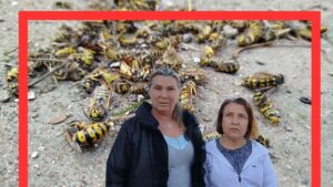 Çorum'un Osmancık ilçesi Çay Mahallesi'nde yaşanan olayda, arının soktuğu genç