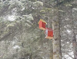 Çocuklardan Rengarenk Kuş Evleri