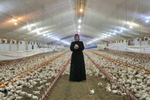 Tarım ve Kırsal Kalkınmayı Destekleme Kurumu (TKDK) Çorum İl Koordinatörlüğü