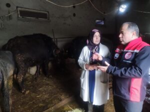Safiye Kartoğlu’nun özverili çalışmaları, kadın girişimciliğinin ve emeğinin kırsalda ne