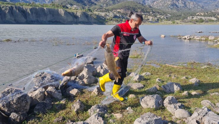 500 Metrelik Kaçak Ağ Ele Geçirildi: 80 Balık Canlı Kurtarıldı