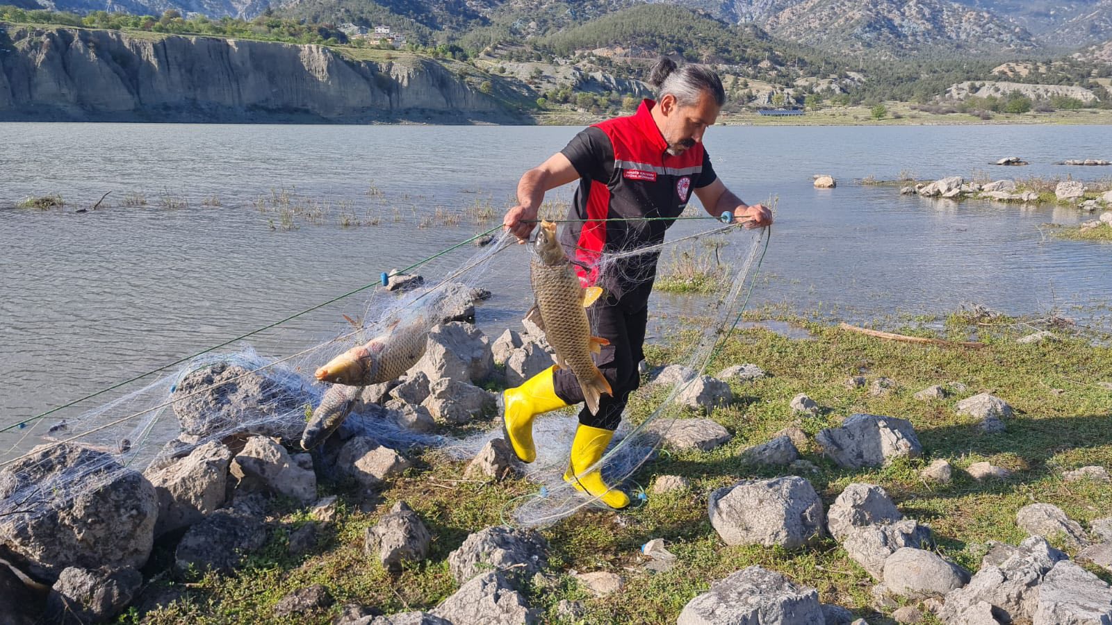 500 Metrelik Kaçak Ağ Ele Geçirildi: 80 Balık Canlı Kurtarıldı