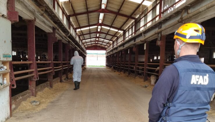 Hayvan Çiftliğinde Gaz İhbarı AFAD Ekiplerini Alarma Geçirdi