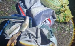 Osmancık’ta kaçak avcılar fotokapana yakalandı