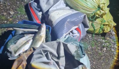 Osmancık’ta kaçak avcılar fotokapana yakalandı