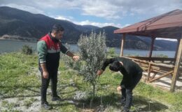 Osmancık’ta Fenolojik gözlemler devam ediyor!