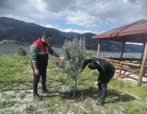Osmancık’ta Fenolojik gözlemler devam ediyor! 