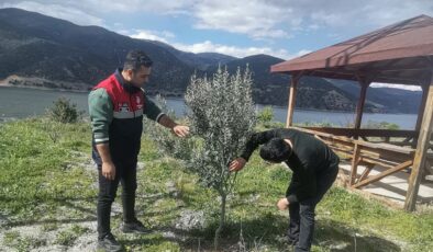 Osmancık’ta Fenolojik gözlemler devam ediyor!