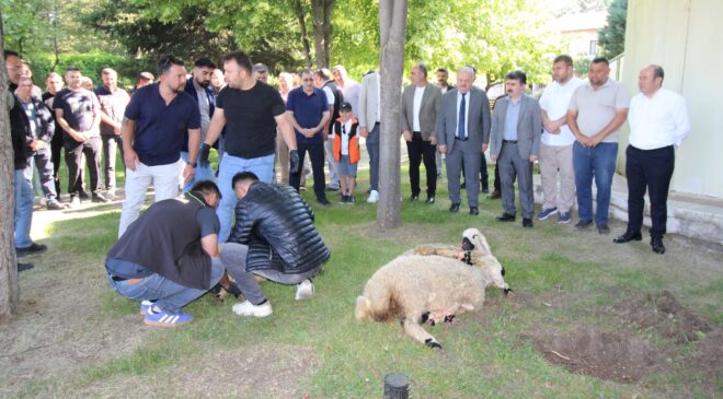 Çorum İl Özel İdaresi’nde Yeni Sezon Öncesi Kurban Kesildi