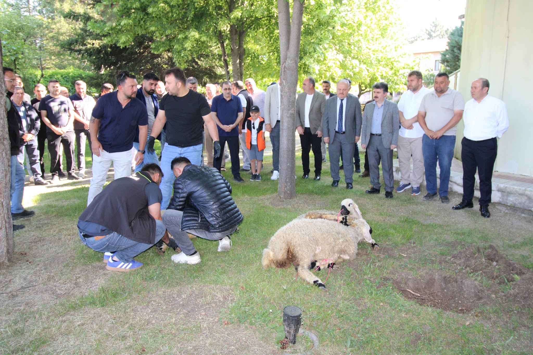 Çorum İl Özel İdaresi’nde Yeni Sezon Öncesi Kurban Kesildi