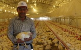 TKDK’dan Hayvancılık Sektörüne 30 Milyon Avroluk Yeni Hibe Paketi