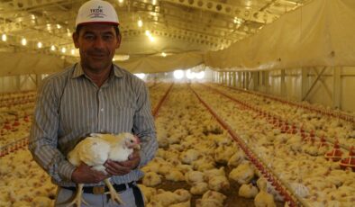 TKDK’dan Hayvancılık Sektörüne 30 Milyon Avroluk Yeni Hibe Paketi