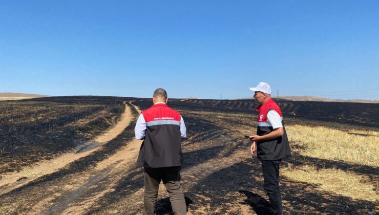 Çöplü Köyü’nde Yangın Sonrası Zarar Tespit Çalışması