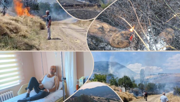 Çorum’da Yangın: 400 Dönüm Alan Zarar Gördü, Muhtar Arıların Saldırısına Uğradı