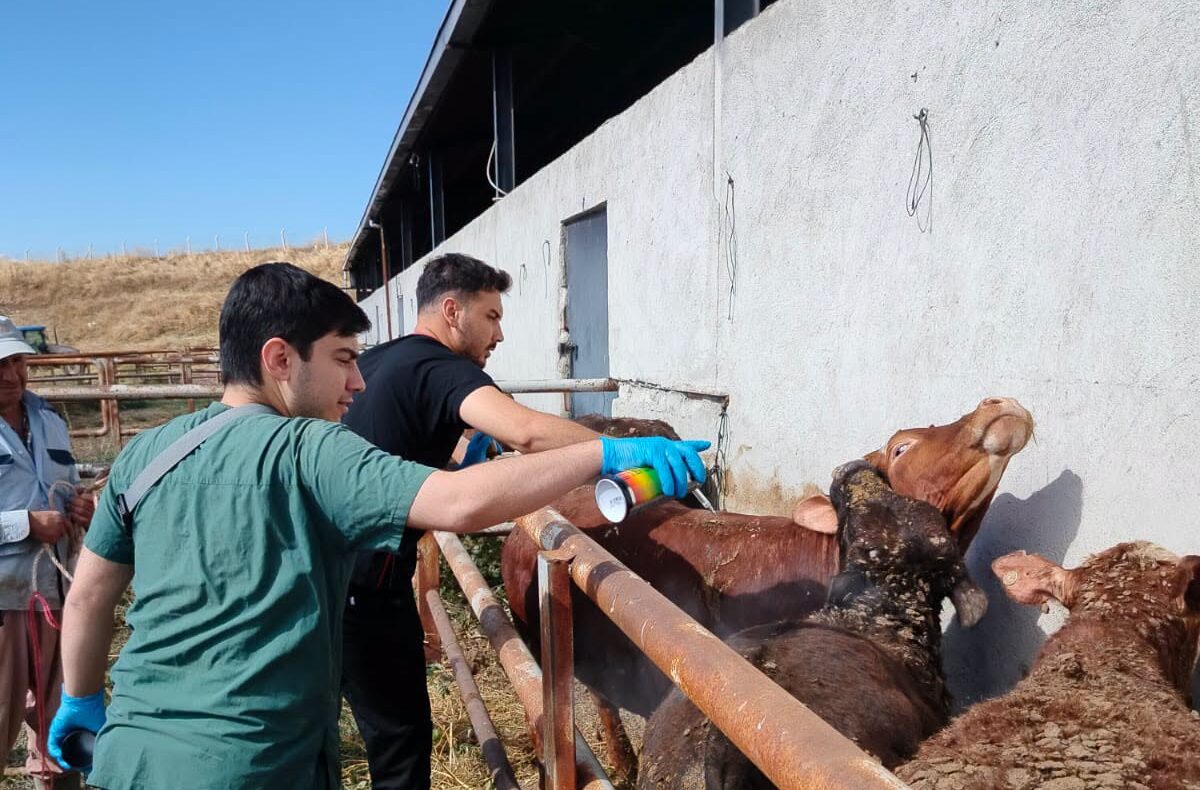 Hastalık riskine karşı denetimler artırıldı