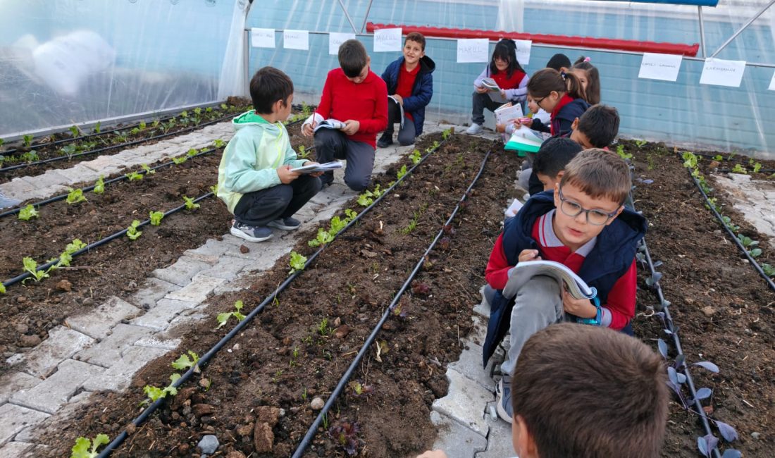 Serada ders zamanı! Minik eller toprakla buluştu