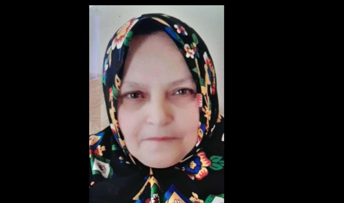 Çorum’un Kargı ilçesine bağlı Bozarmut köyünden, İstanbul Sancaktepe Akpınar’da ikamet